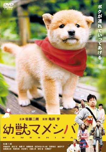 【中古】映画版 幼獣マメシバ [DVD]｜Come to Store 12,348円