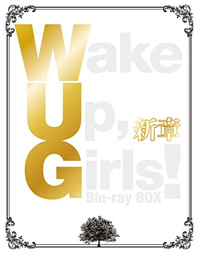 【中古】Wake Up Girls! 新章 Blu-ray BOX｜Come to Store
