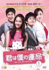 【中古】君は僕の運命　[レンタル落ち] (全36巻) [マーケットプレイスDVDセット商品]｜Come to Store