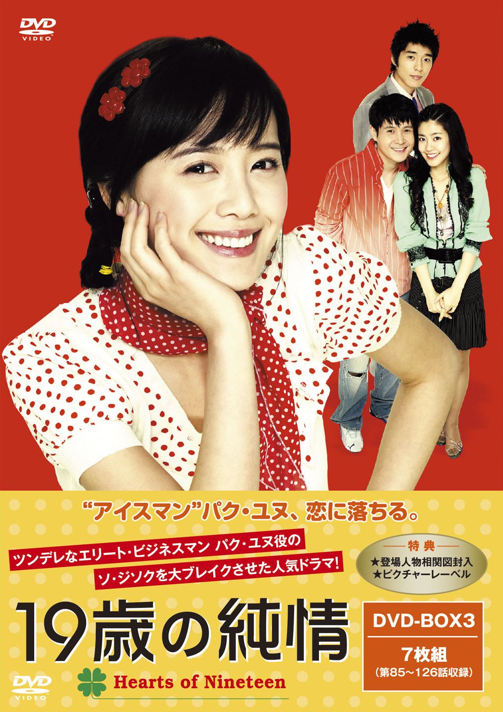 【中古】19歳の純情 廉価版DVD-BOX3｜Come to Store