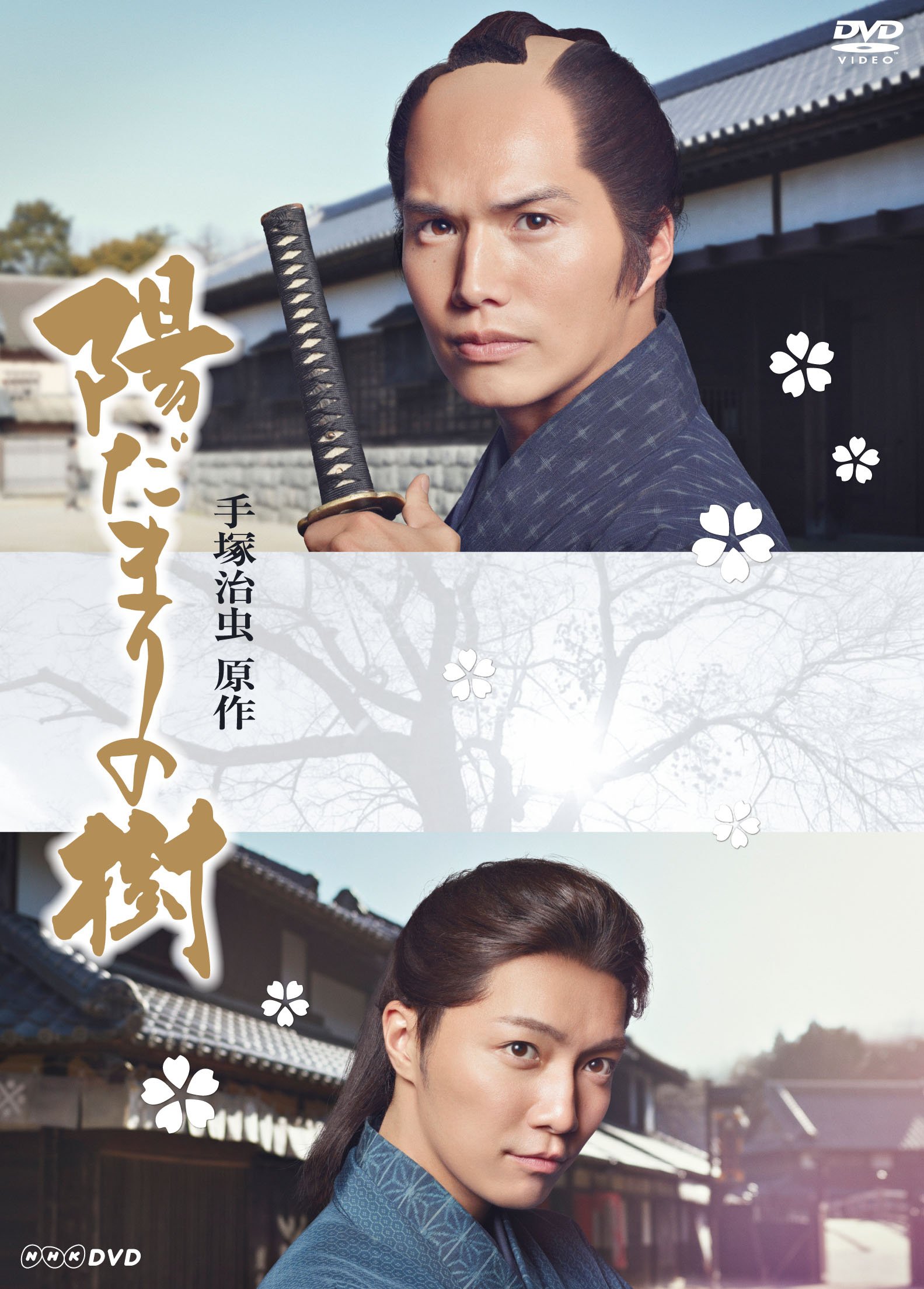 【中古】陽だまりの樹 [DVD]｜Come to Store