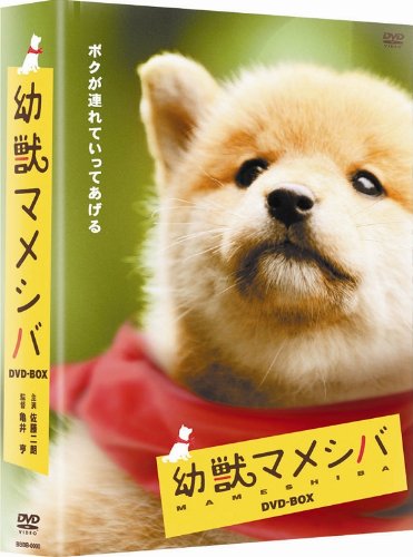 【中古】幼獣マメシバ DVD-BOX|Come to Store