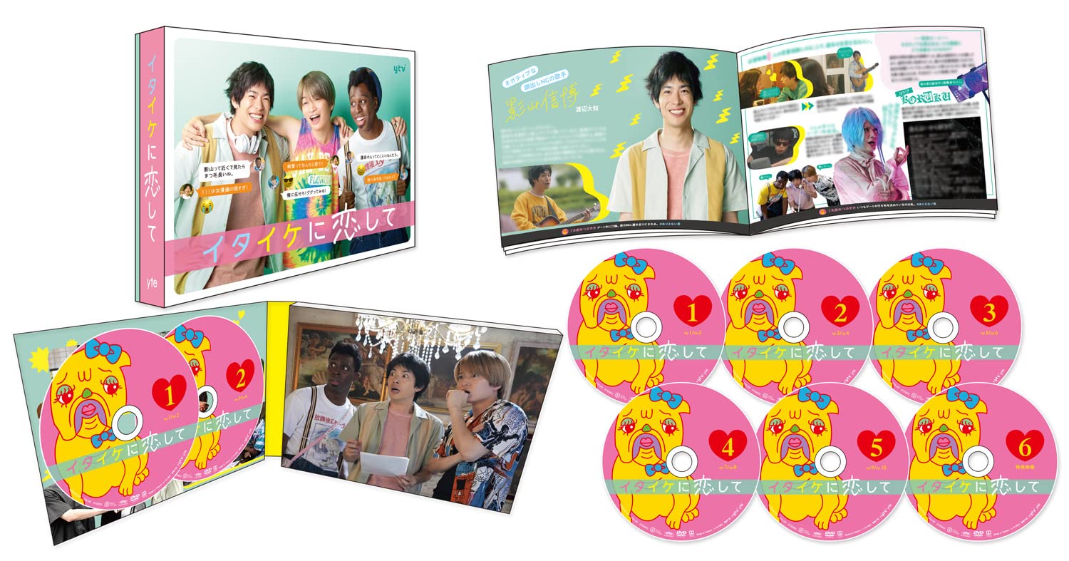 【中古】イタイケに恋して DVD-BOX