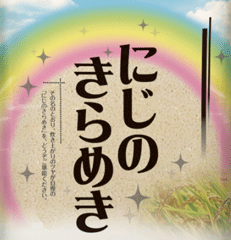 楽天市場】☆人気上昇中の新品種☆令和6年産 にじのきらめき白米 10kg