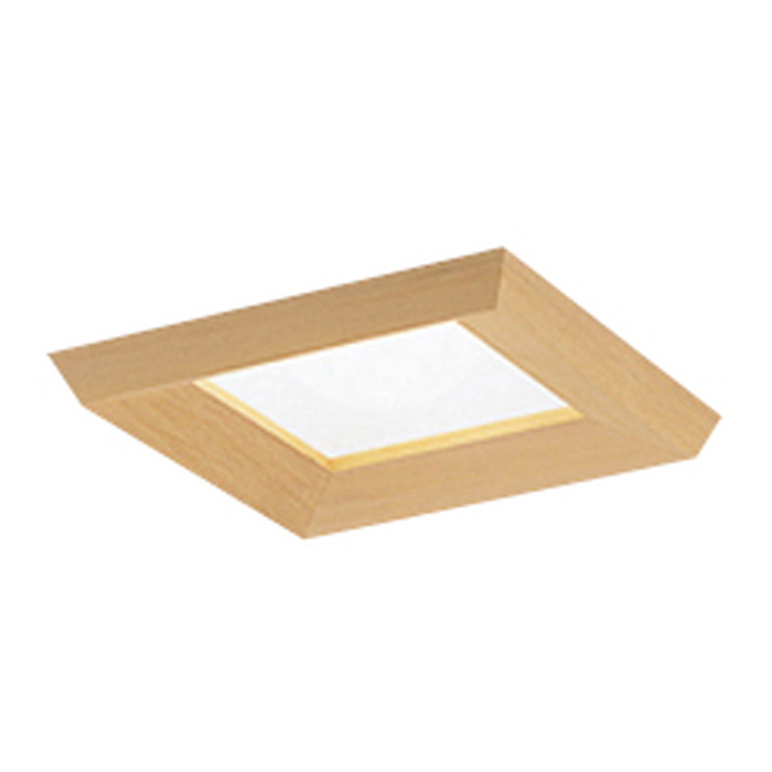 オーデリック和風led下向く火切m体式クオンティティー演風情不具合調音輝き 150 射光ランペ100w割り方午白色 Od0601nr 白熱電球色 Od0601lr Dl Musiciantuts Com