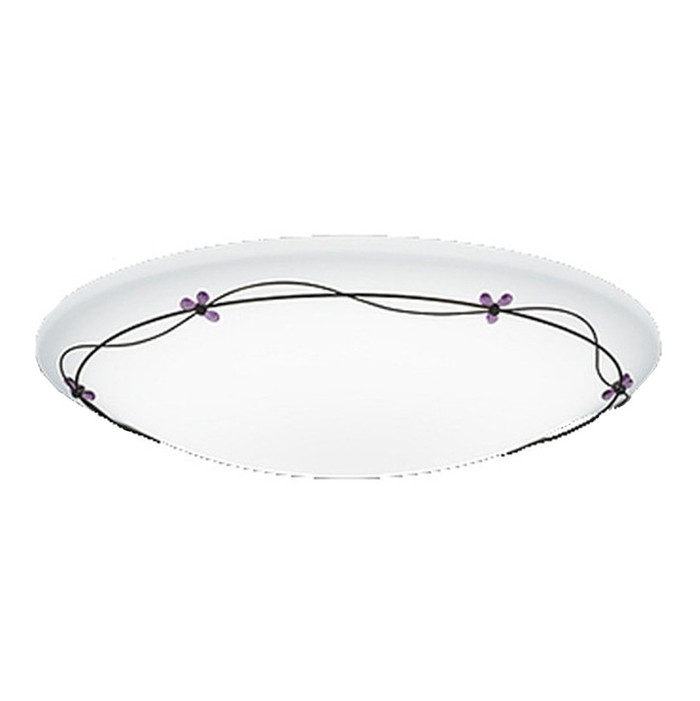 ODELIC(オーデリック) LEDシーリングライト R15高演色LED【適用畳数：～10畳】 調光・調色タイプ OL251209R【CL】