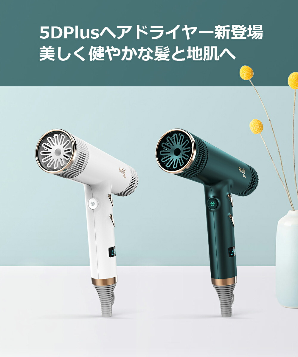 新春福袋21 P倍 時間限定 独創モデル ヘアドライヤー 速乾ドライヤー マイナスイオン 大風量 ドライヤー 3段階風速 ギフト 正規品 プレゼント 正品保証1年 スピーディーイオンドライヤー 業務 ３種類ノズル交換可 家庭 冷熱風