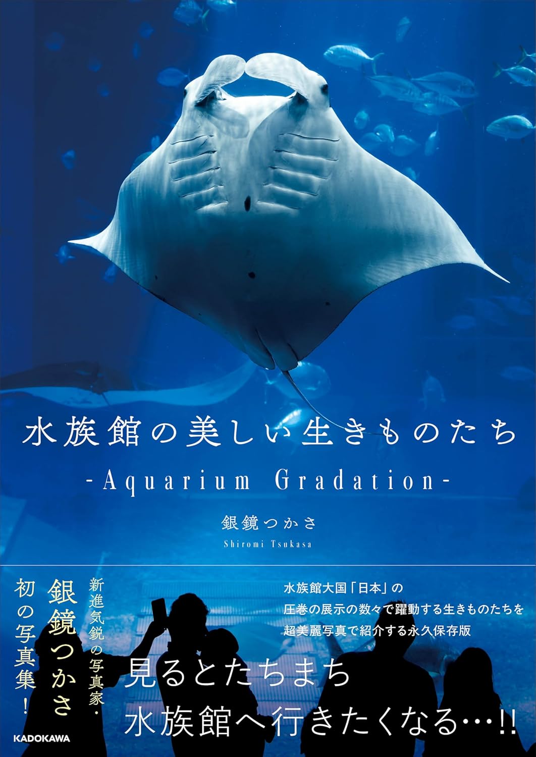 楽天市場】PS-水族館プロジェクト 〜フィッシュハンターへの道