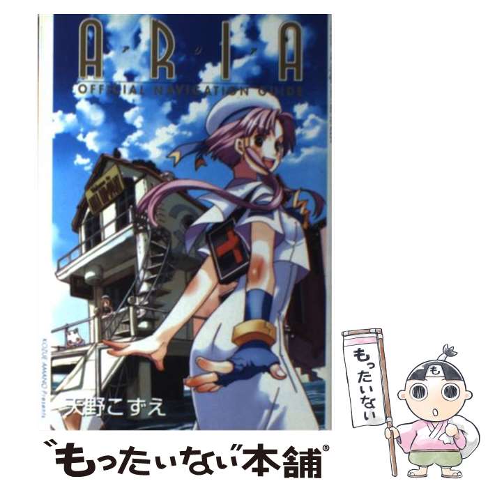 Book Aria Official Navigation Guide JAPAN Kozue Amano