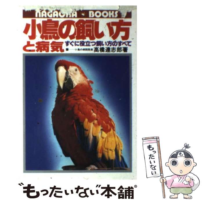 鳥 の 雑誌 超安い 59 割引 Ecostarpainting Com 鳥 の 雑誌 超安い 59 割引 Ecostarpainting Com