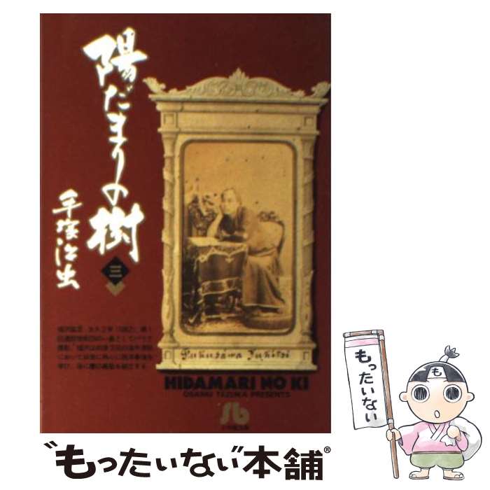 【中古】 陽だまりの樹 3 / 手塚 治虫 / 小学館 [文庫]【メール便送料無料】【最短翌日配達対応】画像