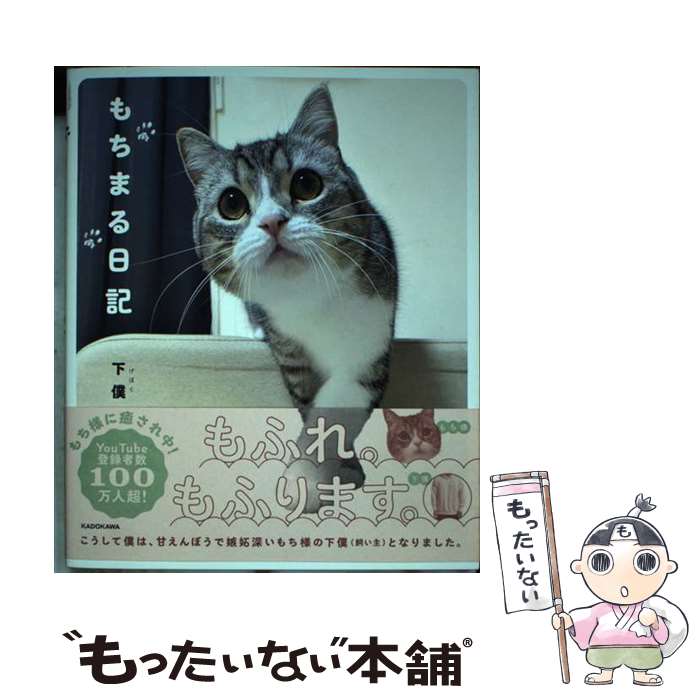 ネコへの礼儀作法 The MANYA〜 / 今泉忠明, 猫に尽くし
