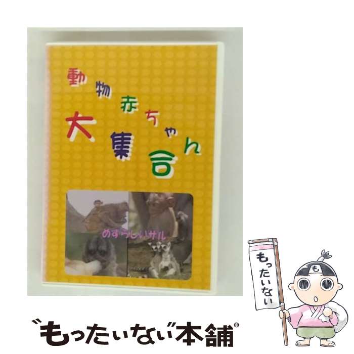 【中古】 動物の赤ちゃん大集合: 8 / [DVD]【メール便送料無料】【最短翌日配達対応】
