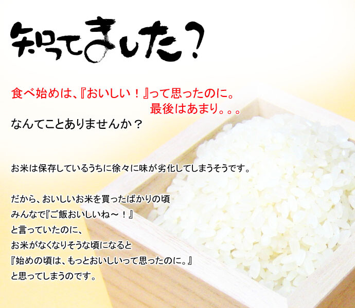 ふるさと割】 桐製米びつ 30kgサイズ キャスター付き 焼桐 米櫃 留河 泉州留河 スリム おしゃれ こめびつ 保存容器 ボックス キッチン  新築祝い 高級感 fucoa.cl