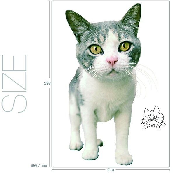 楽天市場 転写タイプ 高品質 ウォールステッカー 写真家 岩合光昭 ねこ05 動物 猫 ネコ 日本製 壁傷 汚れ隠し インテリア キッチン リビング 子供部屋 トイレ 壁紙 壁シール かわいい 北欧 コミットアンド楽天市場店