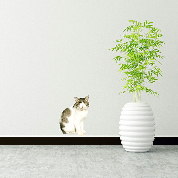 楽天市場 転写タイプ 高品質 ウォールステッカー 写真家 岩合光昭 ねこ11 動物 猫 ネコ 日本製 壁傷 汚れ隠し インテリア キッチン リビング 子供部屋 トイレ 壁紙 壁シール かわいい 北欧 コミットアンド楽天市場店