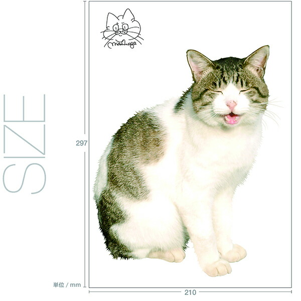 楽天市場 転写タイプ 高品質 ウォールステッカー 写真家 岩合光昭 ねこ11 動物 猫 ネコ 日本製 壁傷 汚れ隠し インテリア キッチン リビング 子供部屋 トイレ 壁紙 壁シール かわいい 北欧 コミットアンド楽天市場店