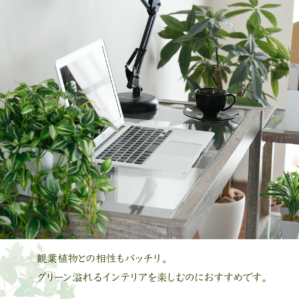 ウッド パソコンデスク ネイルデスク 高さ70 幅90 平机 Pcデスク 北欧 植物棚 室内 デスク リビングデスク 大人 植物ラック デザイン グリーンライフ アンティーク 木目 パソコンデスク グリーンインテリア Pcデスク 幅90 ガラス 古材 古木 インテリア 奥行45 グリーン ウッド パソコンデスク ネイルデスク 高さ70 幅90 平机 Pcデスク 北欧 植物棚 室内 デスク リビングデスク 大人 植物ラック デザイン グリーンライフ アンティーク 木目 パソコンデスク グリーンインテリア Pcデスク 幅90 ガラス 古材 古木 インテリア 奥行45 グリーン