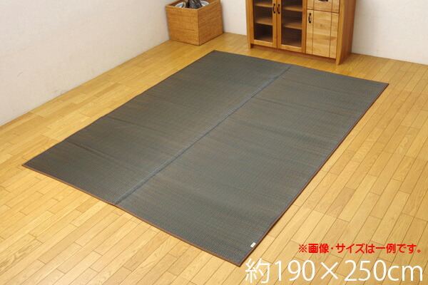 宅送 送料無料 い草ラグ カーペット 3畳 国産 シンプル モダン Fルーツ ブラウン 約190 250cm 裏 ウレタン い草 ラグ カーペット い草マット い草カーペット フローリング リビング イ草ラグ いぐさ イグサ おしゃれ シンプル 奇跡の再販