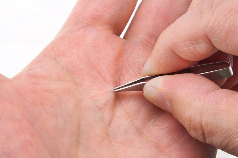 人気ブランドを New アメリカ製トゲ抜き スライバーグリッパー 国内正規品 限定 Tiendabudada Com