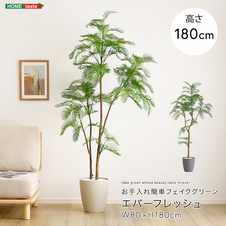 お手入れ簡単フェイクグリーン　エバーフレッシュ　Lサイズ(180cm)｜コミットアンド店