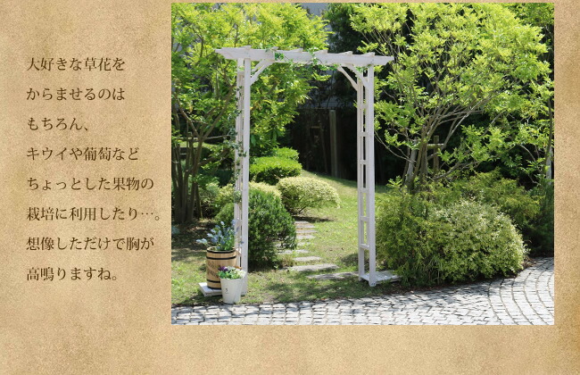 送料無料 天然木パーゴラアーチ 単品 アーチ 門 木製アーチ ローズアーチ バラ 薔薇 フェンス ホワイト ブラウン おしゃれ 小型 北欧 ガーデニング 屋外 家具 ツタ 蔦 イングリッシュガーデン エクステリア ロマンチック トレリス 園芸支柱 Udirons Com