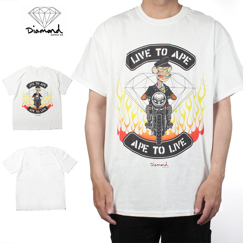 22dm-ap116t_wht.jpg