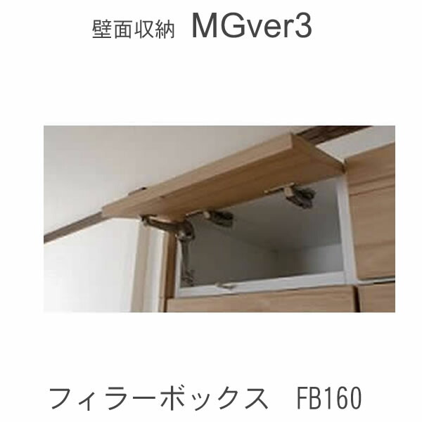 【ただし書き付き添い人で開梱築き上げる】MGver.3 EVE2 FB160 幅160糎フィラーボックス 奥ふかさD47/D32手合いから選りわける！すえ大工仕事 壁面納める（受注生み出すこと品） 瓱 version3 YMG 前日2 MGS