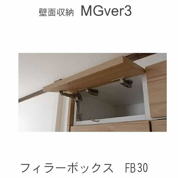 【条件付きで開梱設置】 MGver.3 EVE2　FB30　 幅30cmフィラーボックス　 奥行D47/D32タイプから選択！ すえ木工　壁面収納 （受注生産品） mg version3 YMG イヴ2 MGS