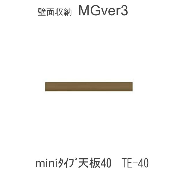 MGver.3 EVE2 FWmini-TE40 40珊幅mini印字機天板 奥ぶかさD47印字機 すえ大工仕事 壁面納める（受注生み出すこと品） 瓱 version3 YMG 前日2 MGS 収納家具-リビング壁面収納・システム収納