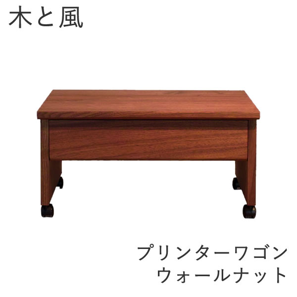 木と風 印刷機手押し車 ウォール中毒者【幅52ｃｍ×奥ふかさ42ｃｍ×高さ27ｃｍ】杉工業プラント