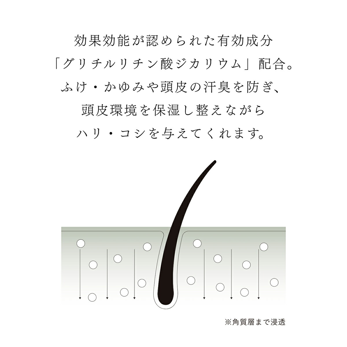 AKNIR アクニー 公式 薬用 ヘア シャンプー トリートメント セット