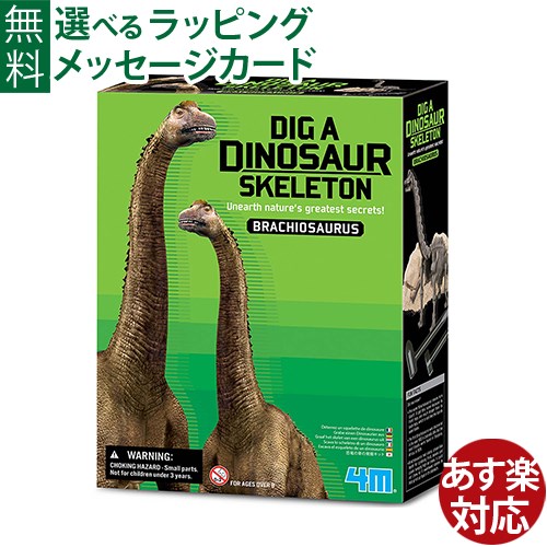 楽天市場】知育玩具 4M 発掘＆組立シリーズ ブラキオサウルス