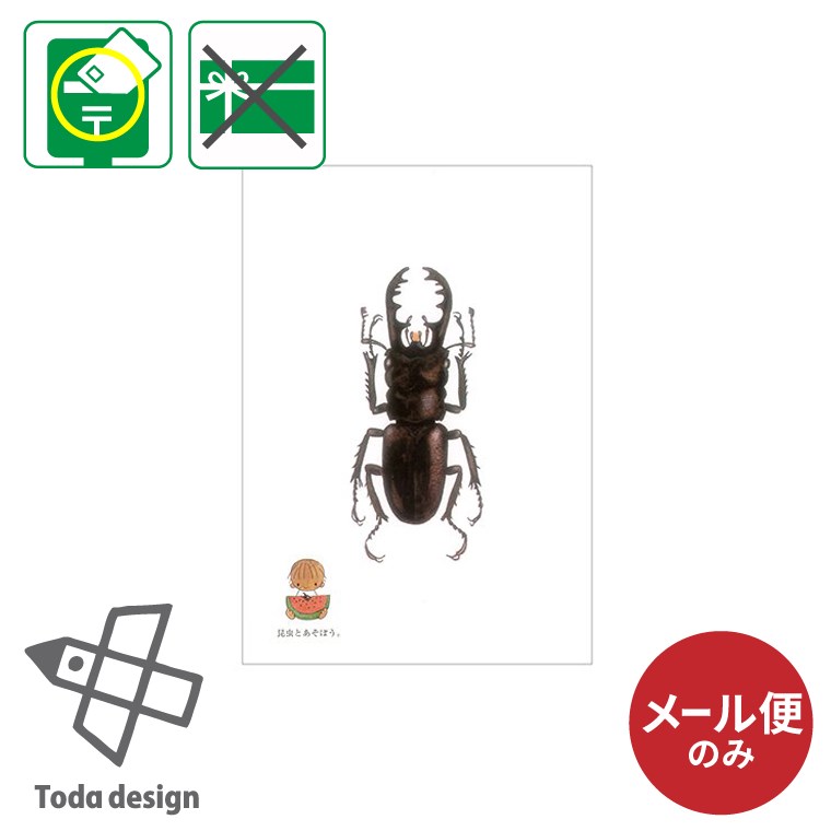 ポスト型はがき/2008年/夏 カブトとクワガタ cicada-post-v1_new.jpg