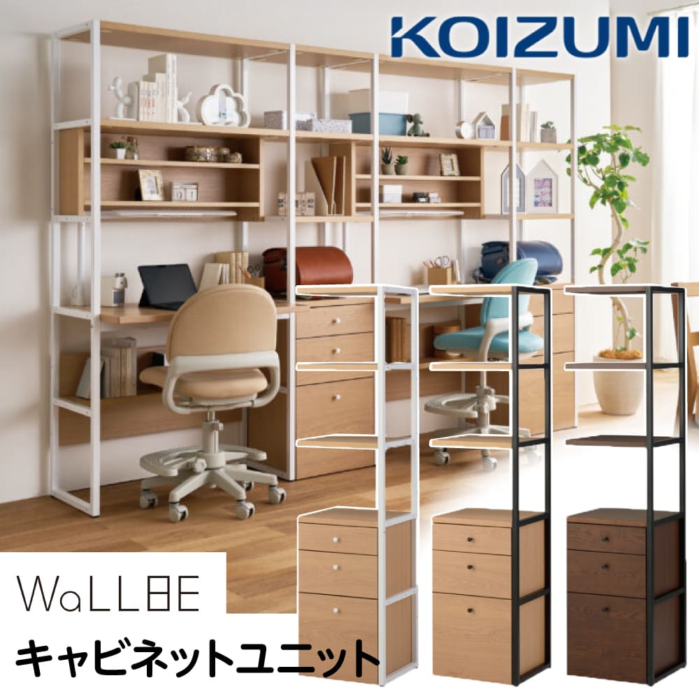 901-wallbe-cabinet-1.jpg