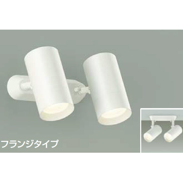 【DSL-5329YW】 DAIKO スポットライト フランジタイプ 白熱灯100W×2灯相当 非調光 大光電機
