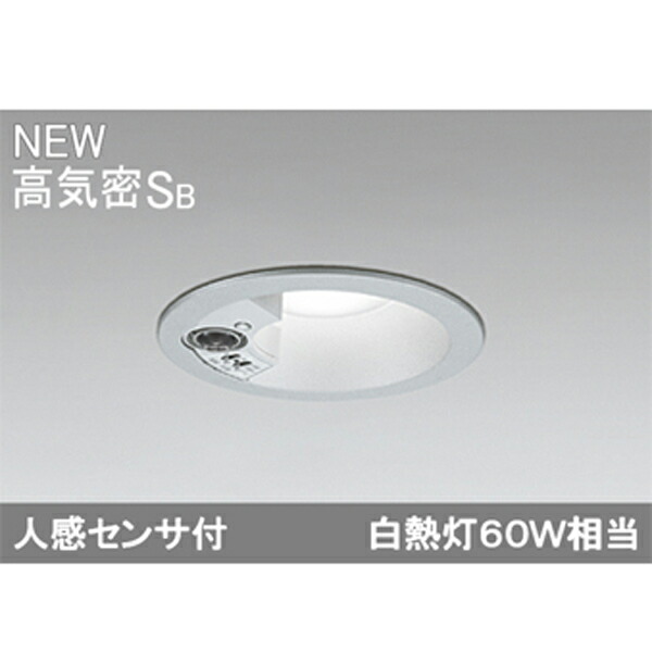 【OD261996R】オーデリック エクステリア 落ちこむ点火装置 LED一体型 ODELIC