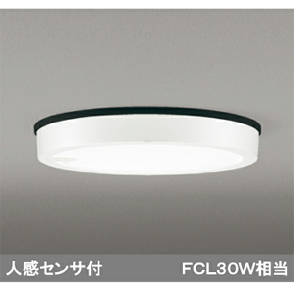 【OG254813R】オーデリック エクステリア 落ちこむ点火装置 LED一体型 ODELIC