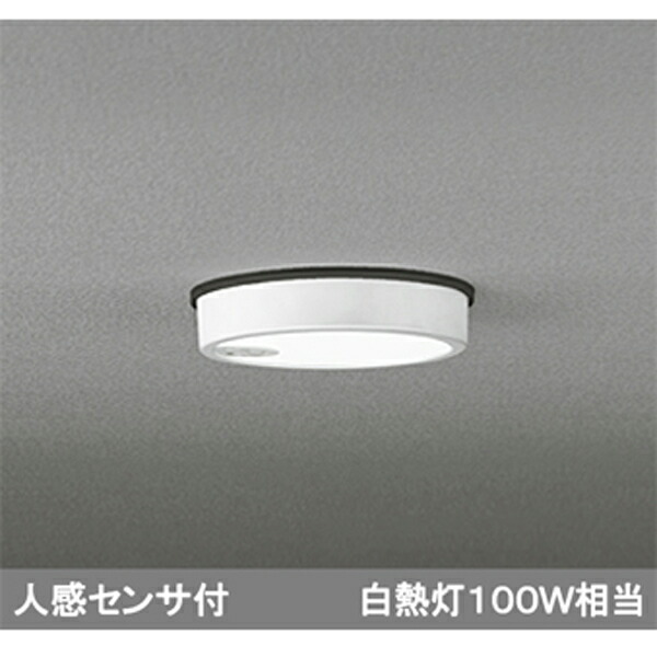 【OG254521R】オーデリック エクステリア 落ち込むともし火 LED一体型 ODELIC ライト・イルミネーション-花・ガーデン・DIY-玄関灯