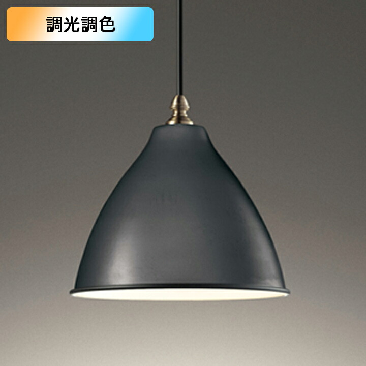 【OP252230BR】オーデリック ペンダントライト 100W 白熱灯器具 LED 電球色-昼光色 調色・調光器不可 コントローラー別売 ODELIC