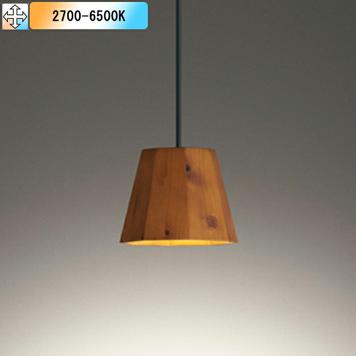 【OP252946BR】オーデリック ペンダントライト LED電球フラット形 高演色LED 白熱灯器具60W相当 プラグ 調光器不可 コントローラー別売 電球色-昼光色 ODELIC