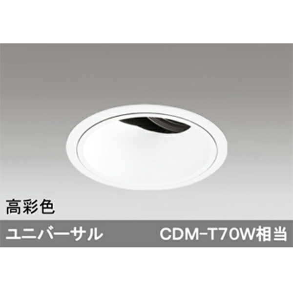 【XD402480H】オーデリック 打ち倒すともし火 LED一体型 【odelic】 天井照明-ライト・照明器具