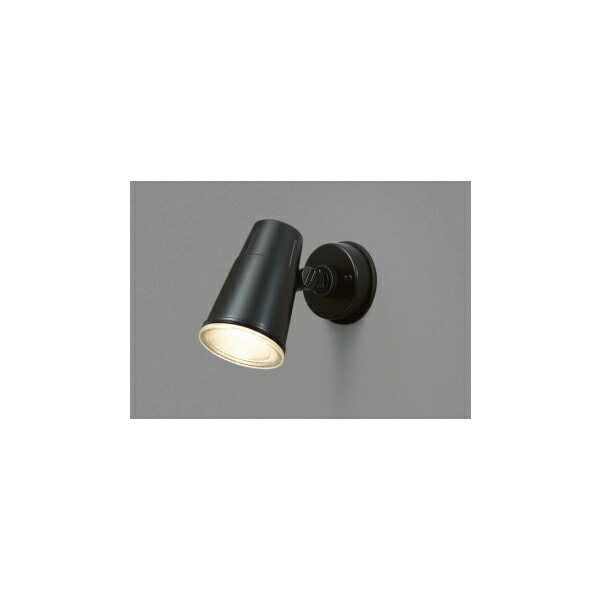 【LEDS88900(K)】東芝 LED光線照明ランプ アウトドア 注目の的 検出器なし印字機 壁面専用 【toshiba】