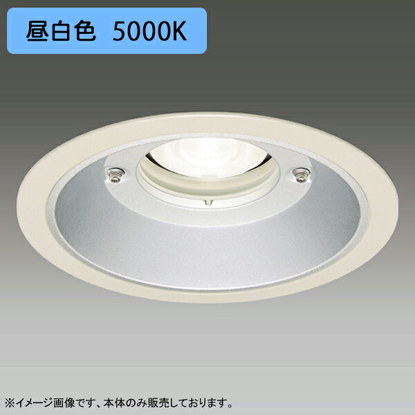 【LEDD-60971MN2】東芝 LED一からだ付き打ち倒すともし火 埋込穴 φ200 軒下用 配光角 75° 広角手合い 本体 ワット数単一のもの別売 昼白いこと TOSHIBA 天井照明-ダウンライト-インテリア・寝具・収納
