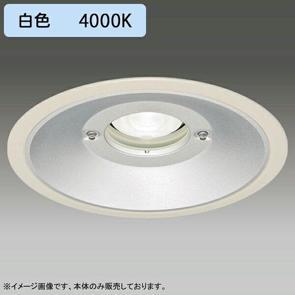 【LEDD-60981MW】東芝 LED一体形ダウンライト 埋込穴 φ250 軒下用 配光角 75° 広角タイプ 本体 電源ユニット別売 白色 受注生産品 TOSHIBA|コンパルト 店