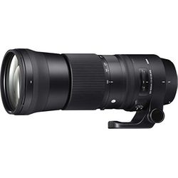シグマ 150-600mm F5-6.3 DG OS HSM(C)ニコン用(150-600MMF5-6.3DG OS) 取り寄せ商品