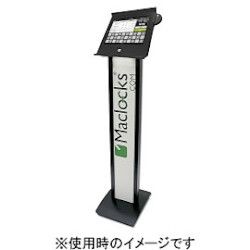 COMPMOTO占い