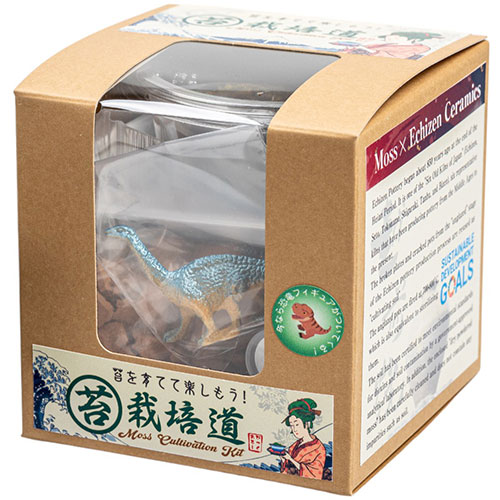 ビックアロー 【5個セット】 ビッグアロー スナゴケ栽培キット苔栽培道(bigarrow-saibaikitin) 取り寄せ商品