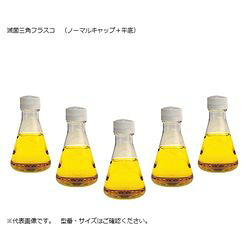 Thermo Scientific　Nalgene 滅菌三角フラスコ（ノーマルキャップ/平底） 2000mL 4112-2000 (1袋(4個入 取り寄せ商品