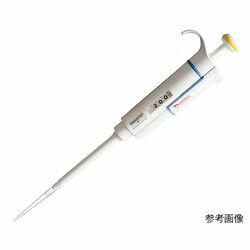 COMPMOTO占い